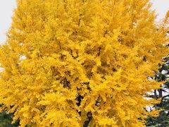 -北京动物园-畅观楼