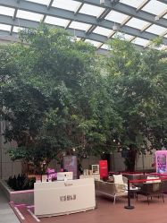 -Yestar 嘉兴艺星医疗美容医院