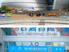 -烟台海昌鲸鲨海洋公园