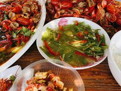 -同銮特种养殖场·龙虾垂钓