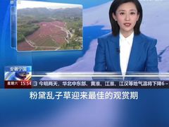 -南山民肴·乡土徽菜(豪辰俪景店)