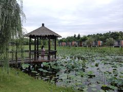 -上海怡沁园度假酒店