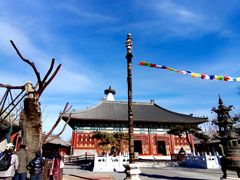 -历代帝王庙博物馆