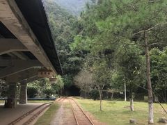 -遂昌金矿国家矿山公园