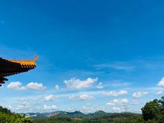 -深圳仙湖植物园