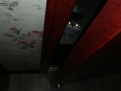 -芭比堂动物医院·犬猫全科·异宠专科(雁塔分院)