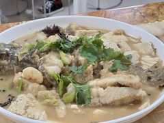 -煲来饱去冷水鱼