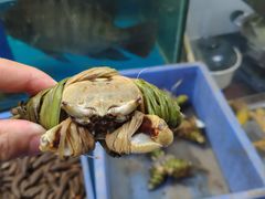 -张家卫·阳江菜·小海鲜(肥婆湾桥店)