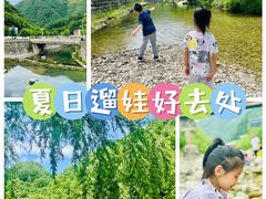 -牛背梁国家森林公园