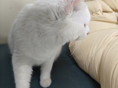 -美联众合动物医院·24h京西诊疗中心