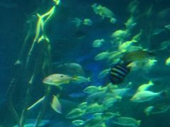 -沈阳海洋探索中心