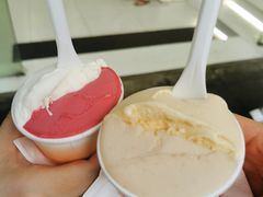 油柑茉莉-Dip in Gelato(富民路店)