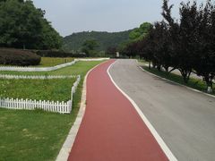 -龙寺生态园