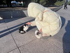 -旅顺博物馆