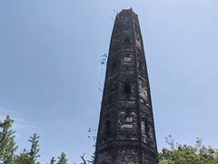 -上海佘山国家森林公园天马山园