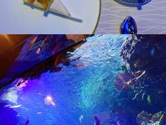 -迪拜帆船酒店海底餐厅