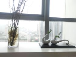 -北京米扬丽格医疗美容·联合丽格鼻整形中心