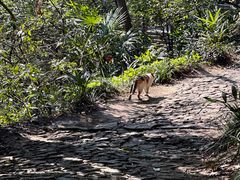 -狼山风景名胜区