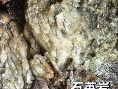 -火炉山森林公园