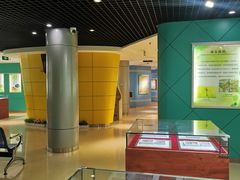 -上海昆虫博物馆