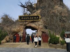 -大槐树寻根祭祖园
