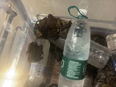 -茶啊冲电影主题文化餐厅(TOUCH12街店)