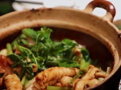 嗜嗜鱿鱼-煲煲好(朝阳门店)