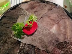 -渝厨生态火锅(合川区府店)