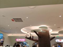 -眉州东坡·熊猫主题餐厅(枫蓝店)