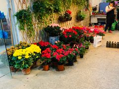 -双季花艺园艺市场(浦东店)