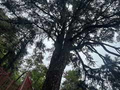 -终南山南五台景区