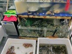 水产区-阿杰臻选海鲜饭店(普陀山店)