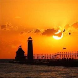 -薇兰专业脱毛连锁机构