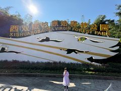 -西双版纳原始森林公园
