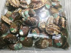 -金龙渔港(双楠店)