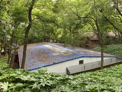 -马王堆汉墓遗址