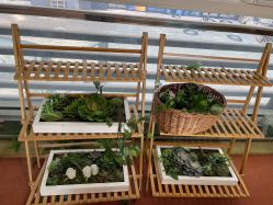 -小鬼当佳儿童摄影(通州外拍店)