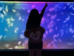-左海海底世界