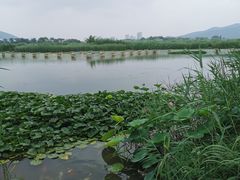 -云龙湖旅游景区