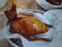 红烧乳鸽-味为先光明乳鸽(光明总店)