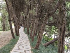 -嘉定紫藤园