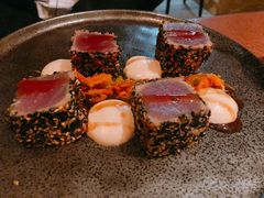 腌金枪鱼-Cera 23