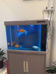 -海涛医疗美容·面部抗衰·注射美鼻