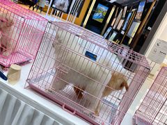 -方恒购物中心(望京小街店)