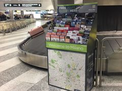 -米兰马尔彭萨国际机场