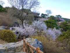 -北京西山国家森林公园