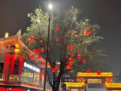-大雁塔北广场音乐喷泉