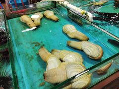 -万尾农贸市场