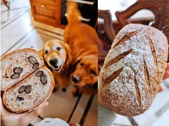 核桃赤豆包-皇后西斯汀饼店(文化路店)