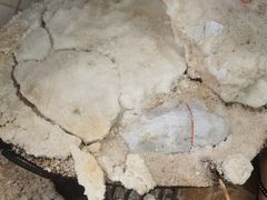 -吉英盐焗鸡(文中路店)